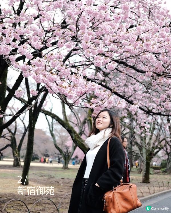 東京賞櫻！🌸2026必去10大點！