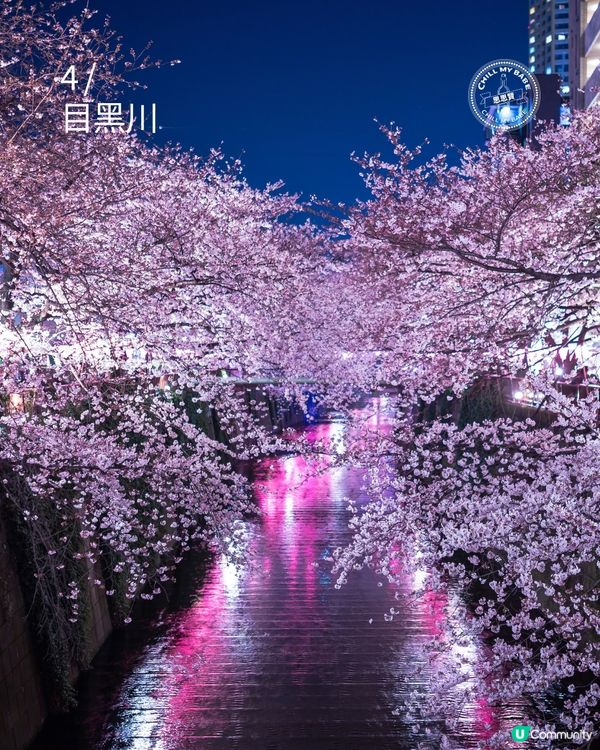 東京賞櫻！🌸2026必去10大點！