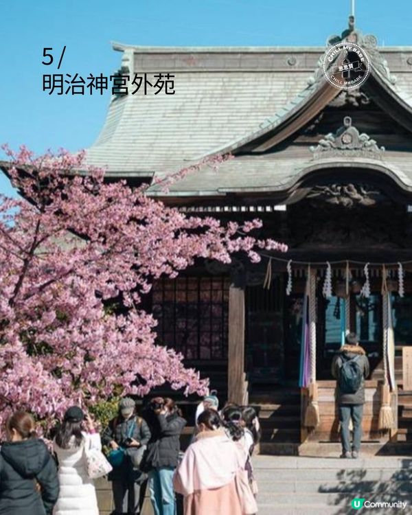 東京賞櫻！🌸2026必去10大點！