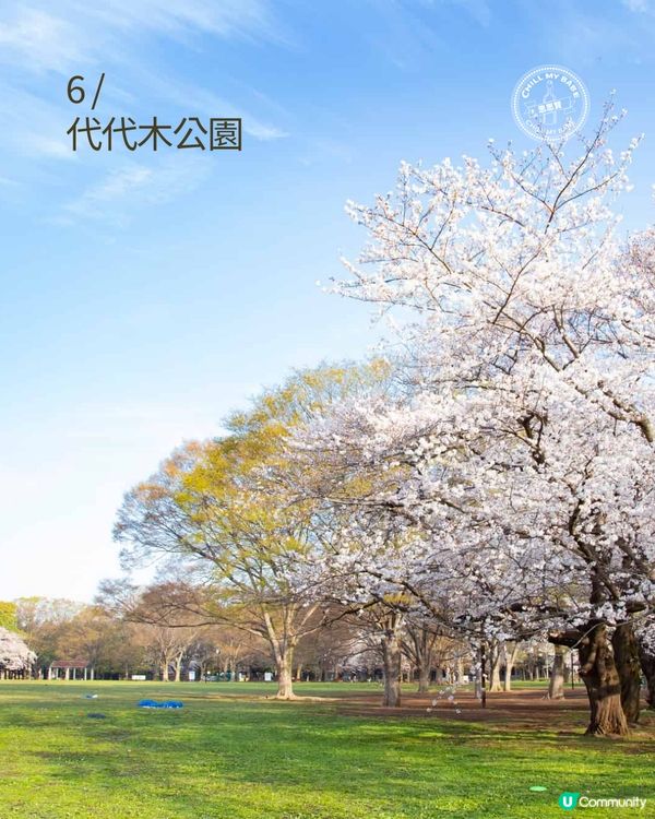 東京賞櫻！🌸2026必去10大點！