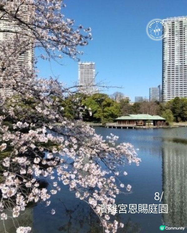 東京賞櫻！🌸2026必去10大點！