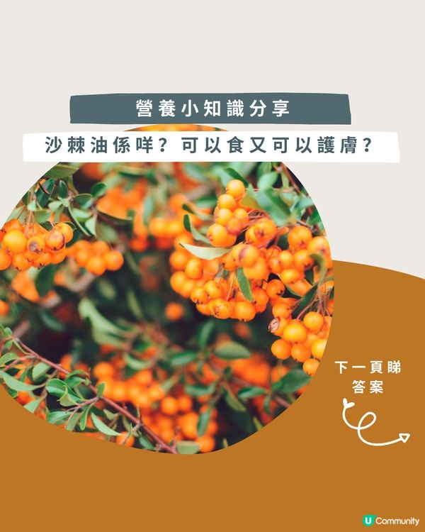 ✨營養小知識 最強維他命C沙棘油可以食又可以護膚?
