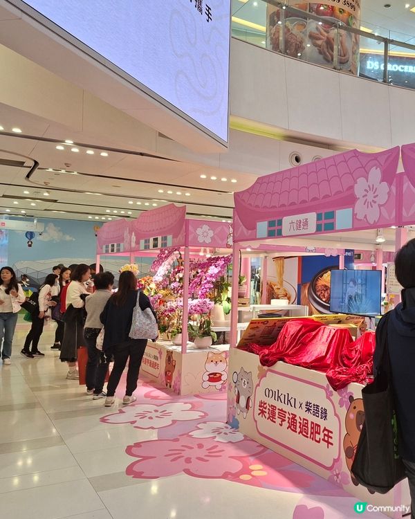 《柴語錄》登陸 Mikiki