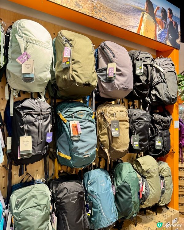 🛒 東九龍食玩買+Outlet 掃貨新地標 🛍️ 