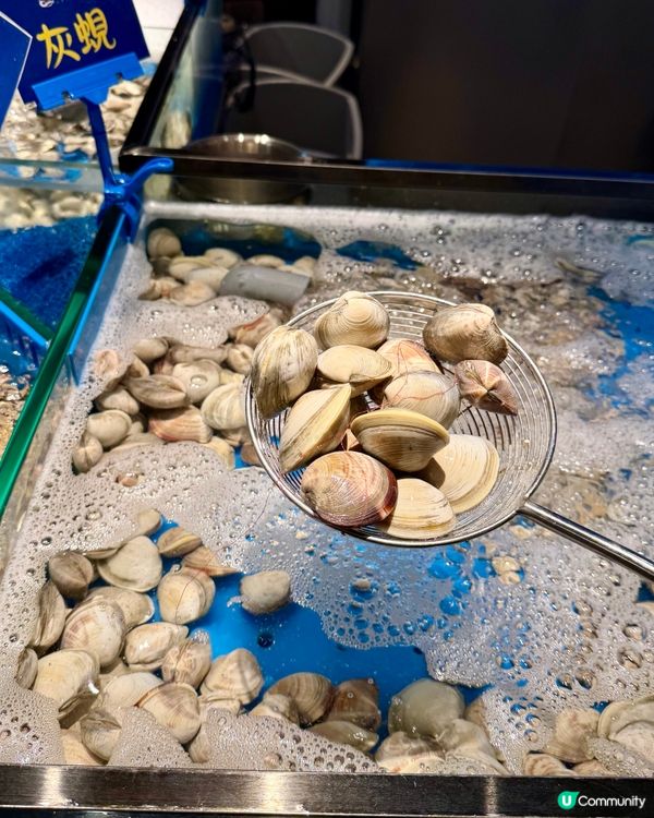 [勞蘇食]驚人地高質既撈海鮮🪼
