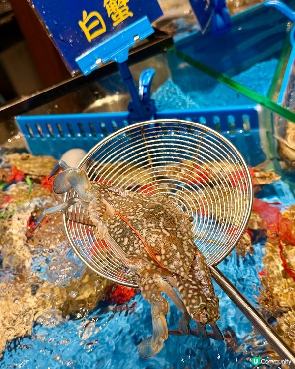 [勞蘇食]驚人地高質既撈海鮮🪼
