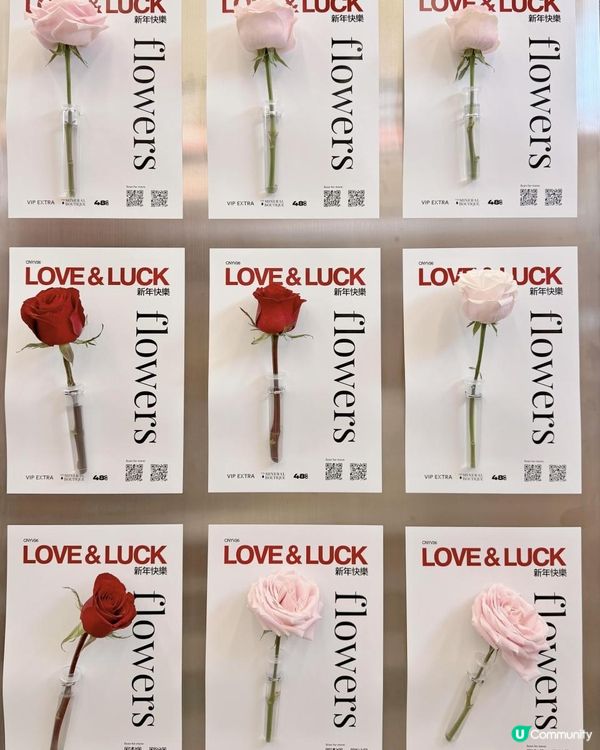 銅鑼灣全新美容熱點！The Mineral Boutique旗艦店登陸Fashion Walk，必試巴黎48 Collagen膠原蛋白飲品＋神奇嫩膚儀✨