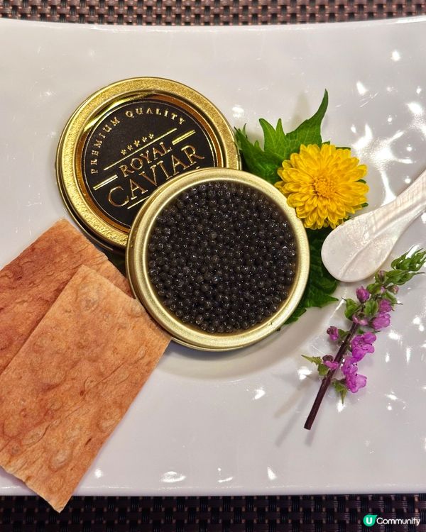 打敗 99.9% 廚師發辦 免費無限追加拖羅鮑魚壽司