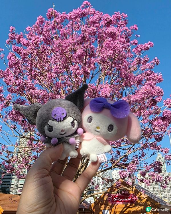 🌸 粉紅奧海城🏃‍♂️ 玩轉五環遊樂園⭕️新公園