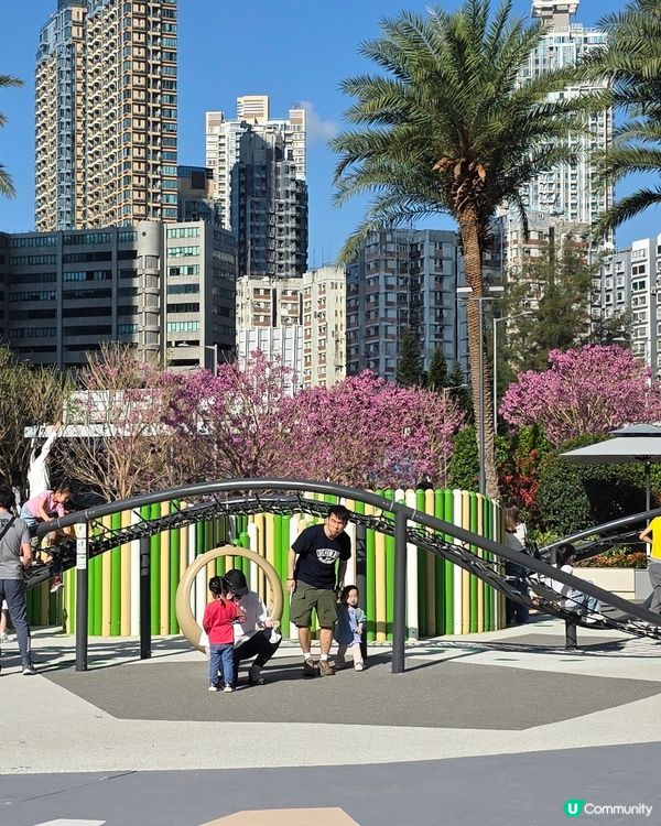 🌸 粉紅奧海城🏃‍♂️ 玩轉五環遊樂園⭕️新公園
