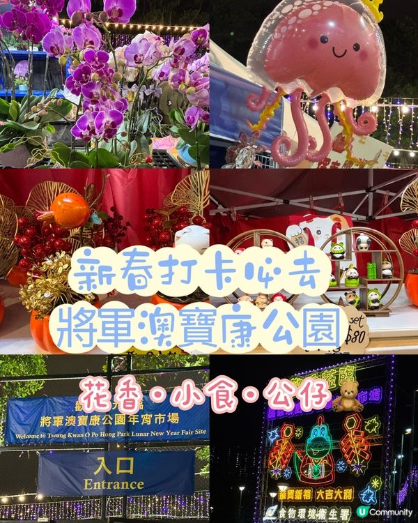 新春打卡必去·將軍澳寶康公園·人山人海
