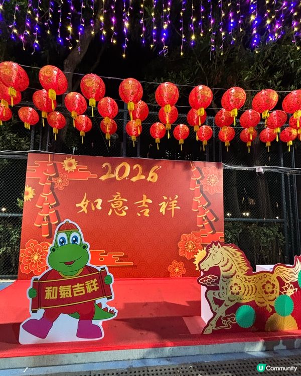 新春打卡必去·將軍澳寶康公園·人山人海