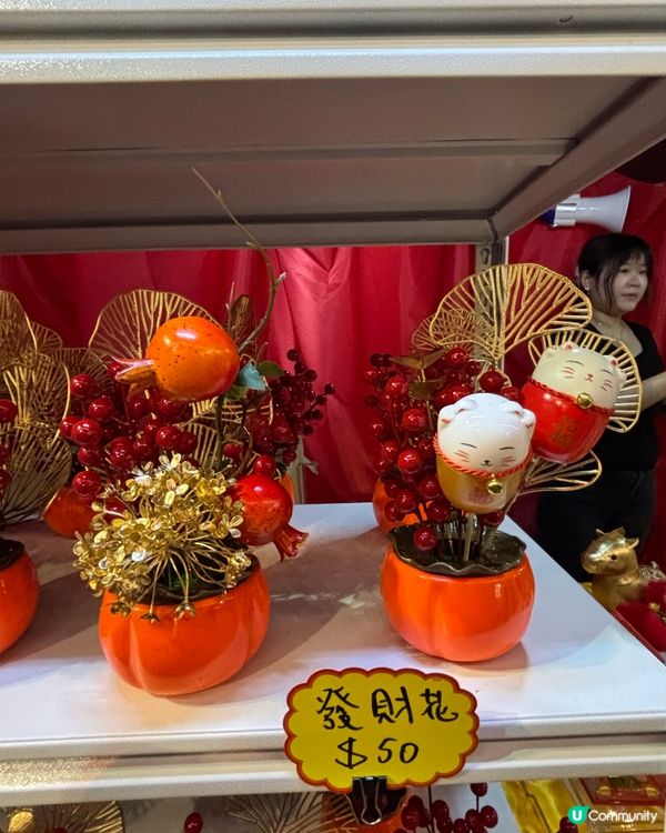 新春打卡必去·將軍澳寶康公園·人山人海