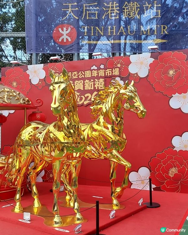 維園掃貨！年花靚品買不停 🌸🐉