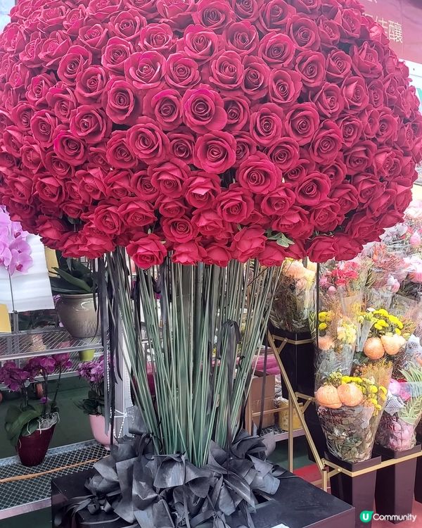 維園掃貨！年花靚品買不停 🌸🐉