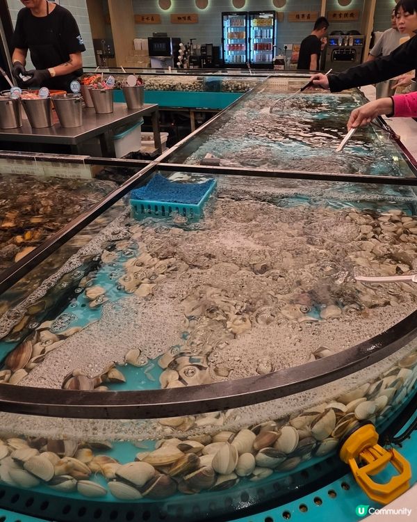 荃灣千海水產：海鮮控天堂！🦀🦐鮑魚貝類任你揀！💯