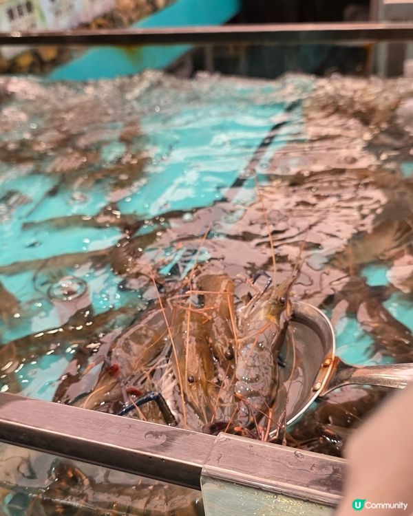 荃灣千海水產：海鮮控天堂！🦀🦐鮑魚貝類任你揀！💯