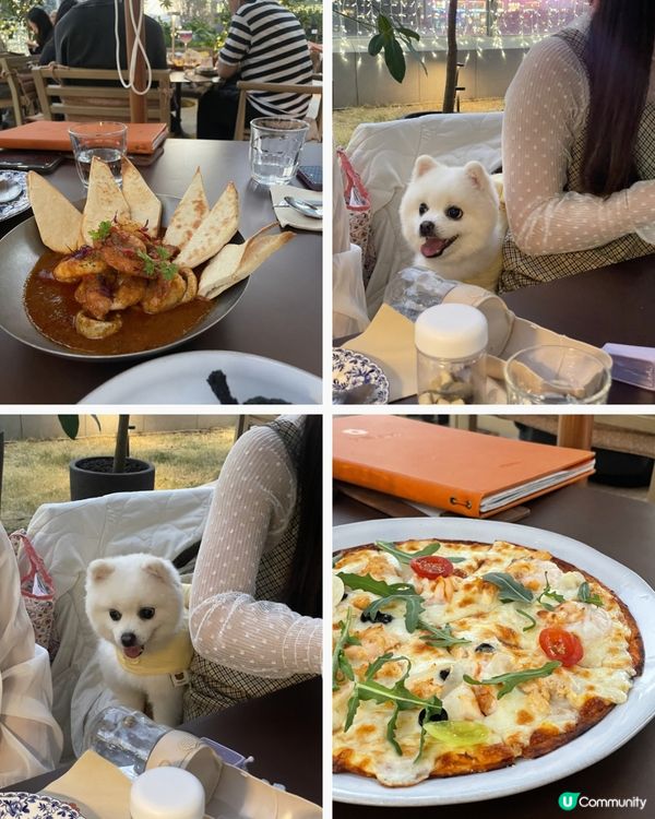 花廚啟德新店，花團錦簇！🌸🐶