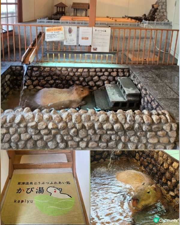 一日快閃草津♨️治癒溫泉小鎮！🇯🇵