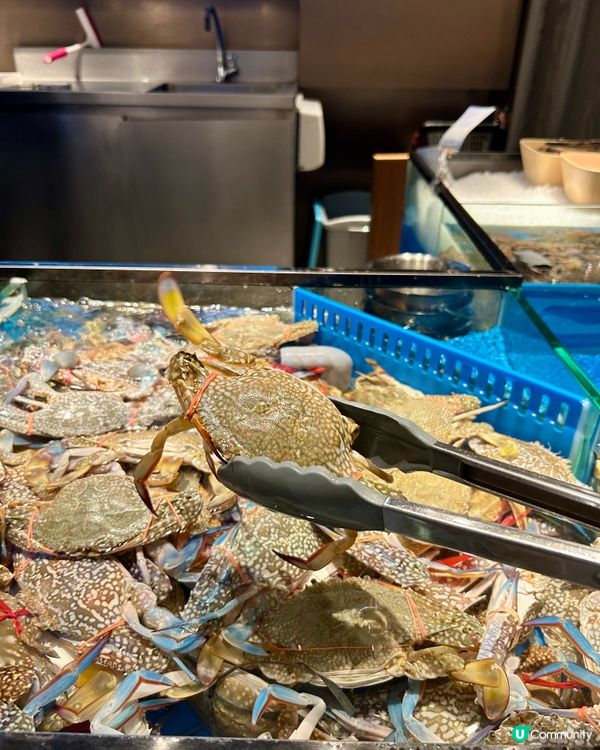 海鮮盛宴🔥 銅鑼灣放題必食 😋 鵝肝､生蠔､鰻魚🦪🐟