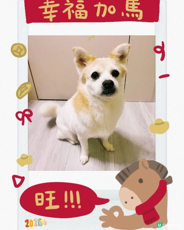 新年好