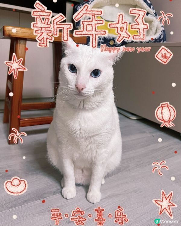 新年好