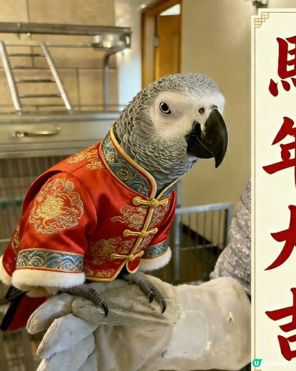 新年好