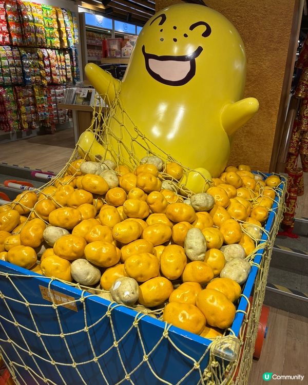 四洲體驗館，新年行大運之必到地方