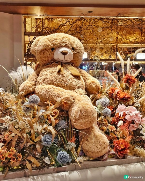 花💐與熊🧸高質🍽️Cafe