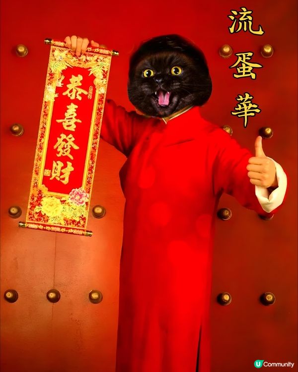 皮蛋蛋著唐裝（新年限定🙂‍↔️）