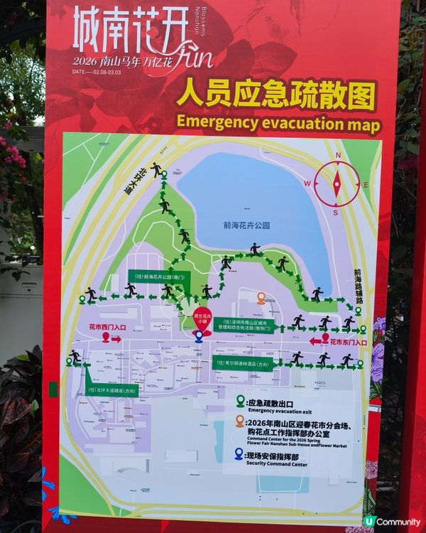 北上深圳荷蘭小鎮行花市，歎藍花賞金魚食打糕