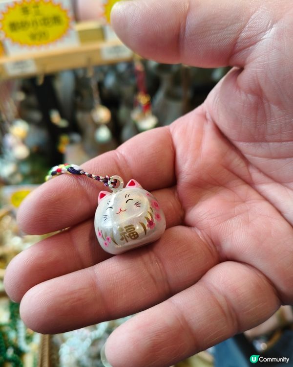 北上深圳荷蘭小鎮行花市，歎藍花賞金魚食打糕