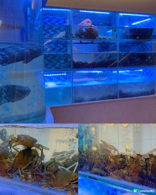 暖笠笠20年老字號，必食潮汕砂鍋粥！🤤