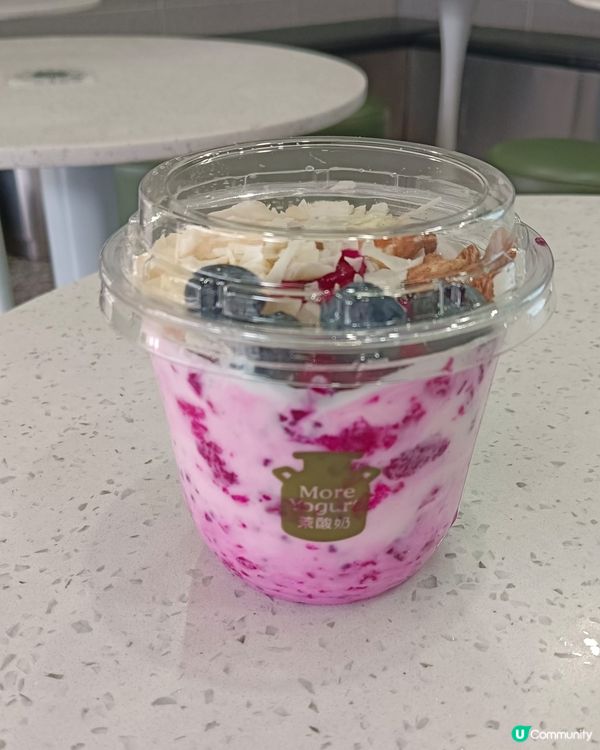 茉More Yogurt茉酸奶