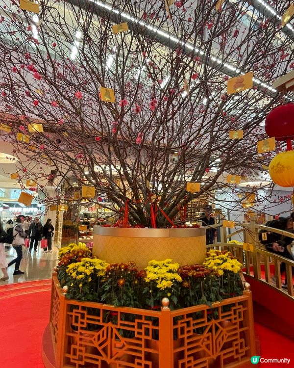 apm Disneyland 新春打卡位