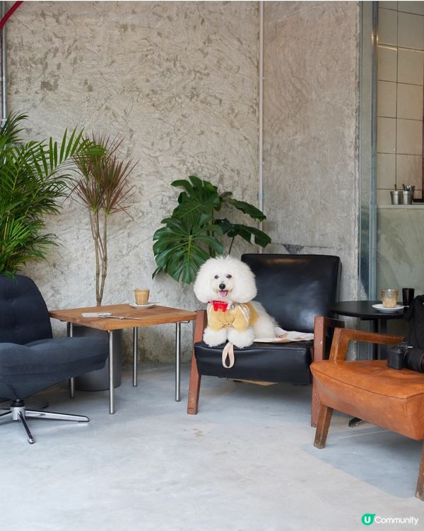 🐶🐾 天后興發街新cafe寵物友善