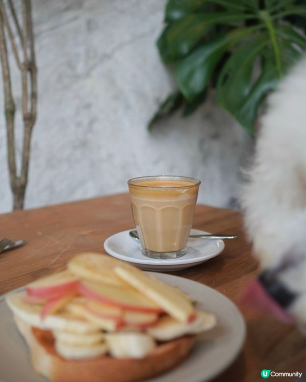 🐶🐾 天后興發街新cafe寵物友善
