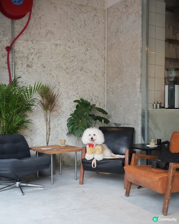 🐶🐾 天后興發街新cafe寵物友善