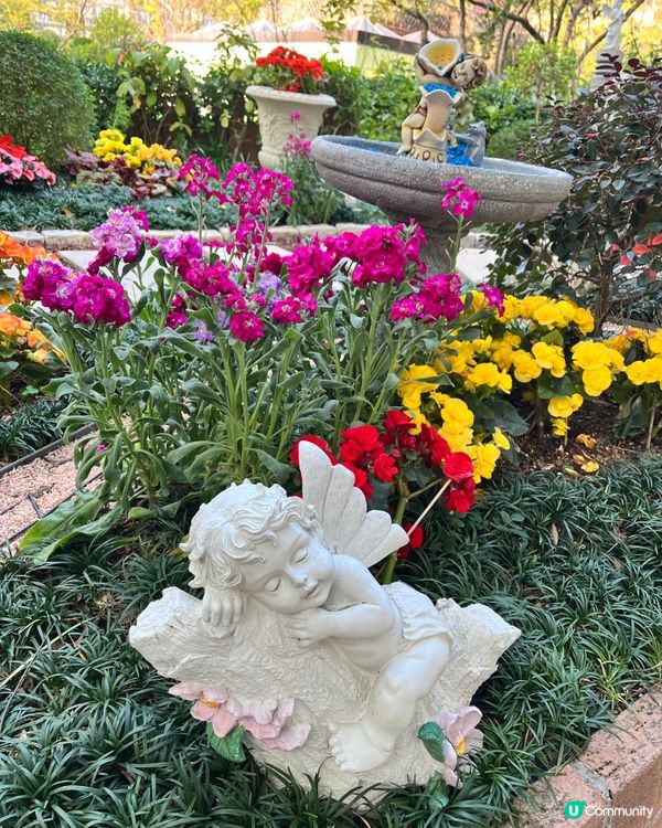 城門谷賞櫻！🌸 全家出動行大運！