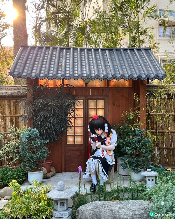 城門谷賞櫻！🌸 全家出動行大運！