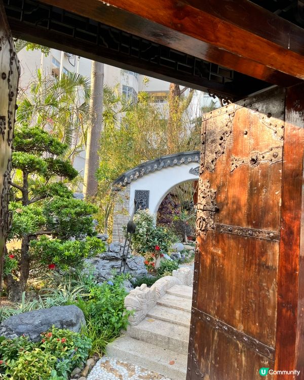 城門谷賞櫻！🌸 全家出動行大運！