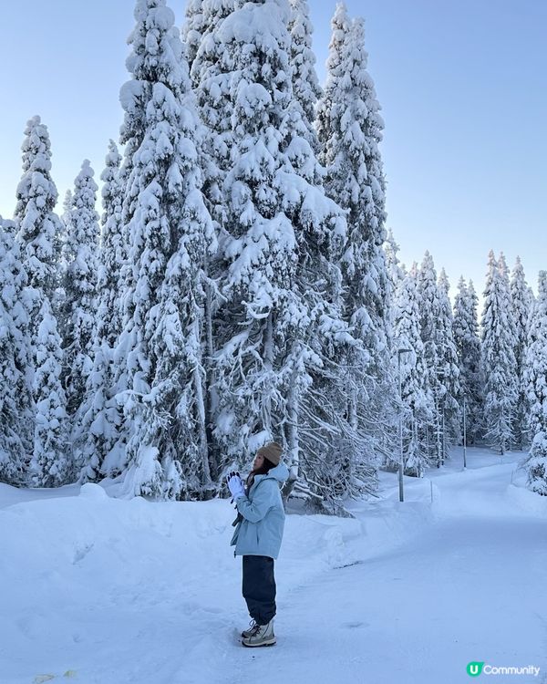 雪國療癒之旅🏔️ 逃離喧囂🤫
