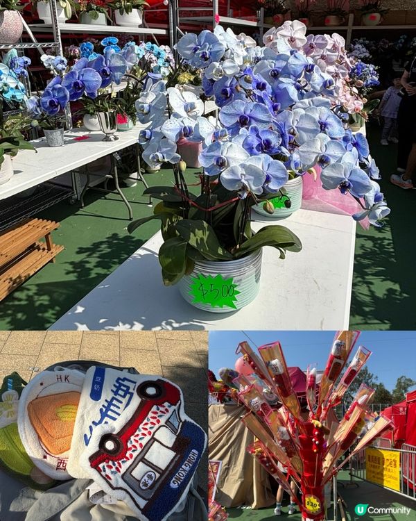 銅鑼灣維園年宵，公仔得意必打卡！🥳