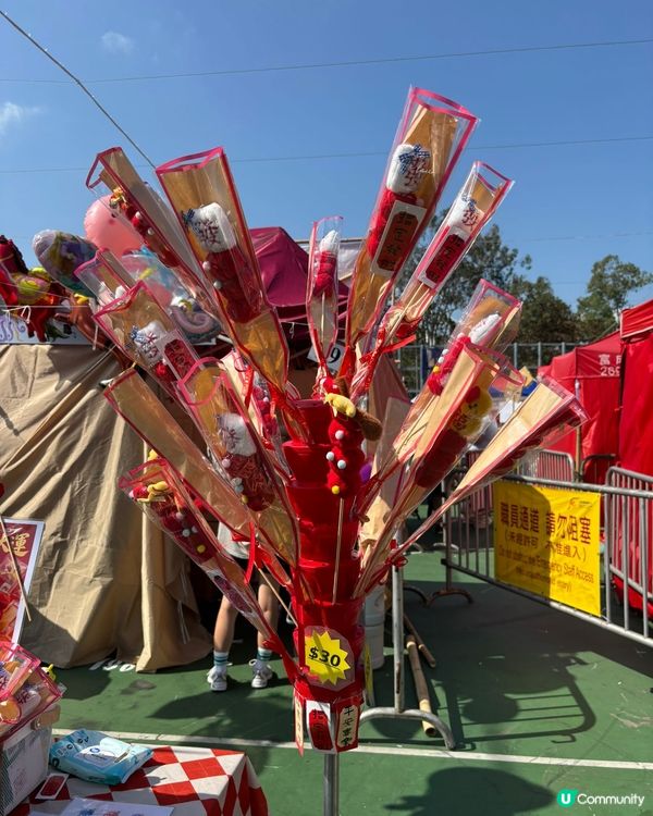 銅鑼灣維園年宵，公仔得意必打卡！🥳