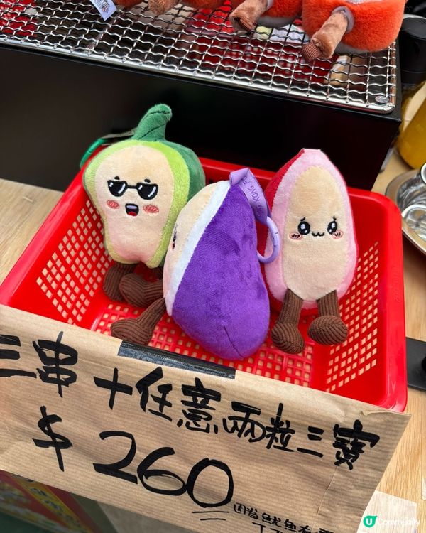 銅鑼灣維園年宵，公仔得意必打卡！🥳