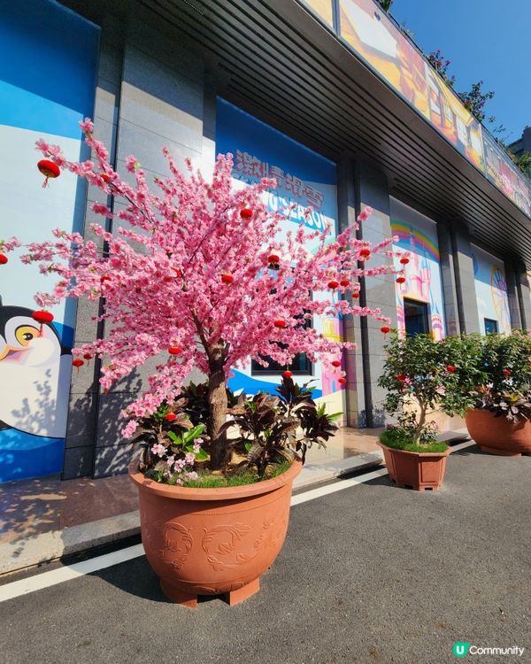 酒店變樂園！珠海毛林好玩到飛起！🤩👍