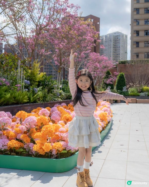 💕｢花之盛宴.光影匯演｣💕