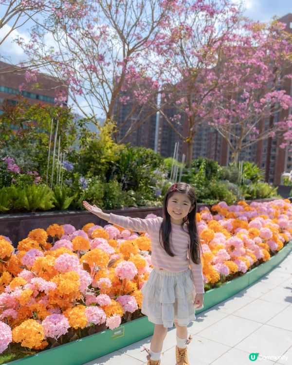 💕｢花之盛宴.光影匯演｣💕