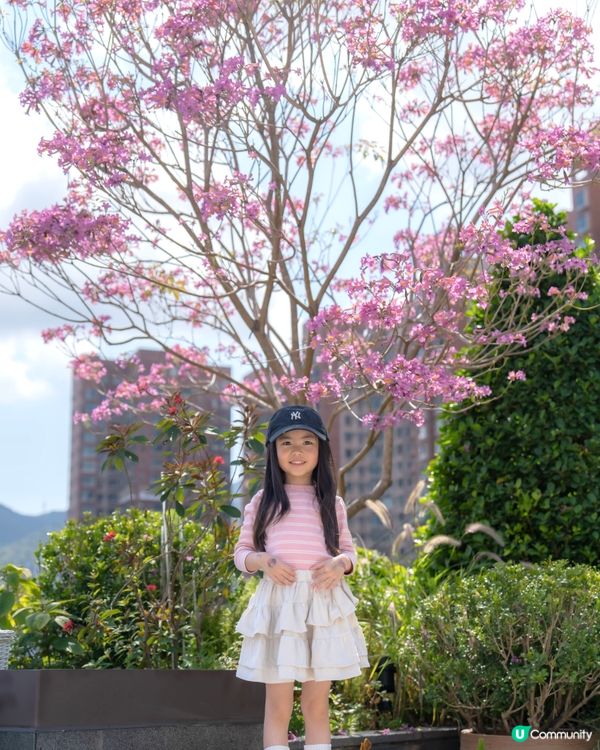 💕｢花之盛宴.光影匯演｣💕