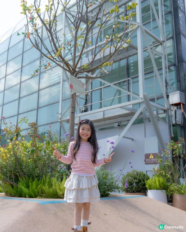 💕｢花之盛宴.光影匯演｣💕